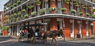 MHI Winter Meeting in New Orleans MHI Winter Meeting