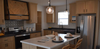 Champion Homes, Quartz Properties Partner in N.C. champion homes quartz properties modular home builders partnership colorado