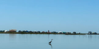 New Horizons for 55+ Communities new horizons 55+ 55-plus retirement communities manufacatured housing marina water fowl